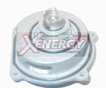 XENERGY X207172