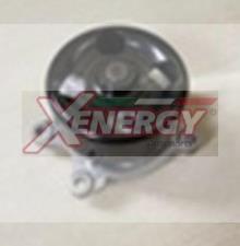 XENERGY X207252