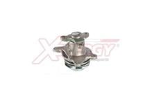 XENERGY X207582