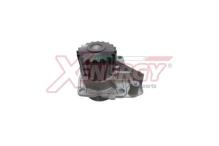 XENERGY X208064