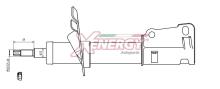 XENERGY X250339