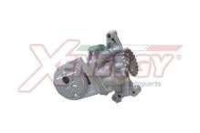 XENERGY X251211