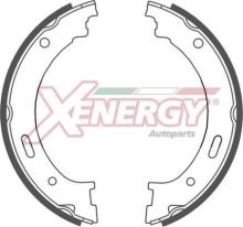 XENERGY X50613