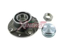 XENERGY XCH4011