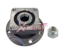 XENERGY XCH493