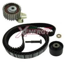 XENERGY XD19002