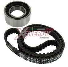 XENERGY XD21002