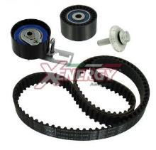 XENERGY XD31603