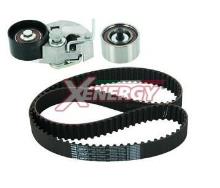 XENERGY XD66095