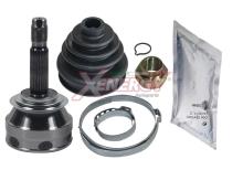 XENERGY XG001804