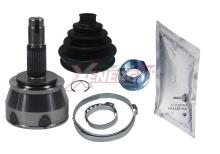 XENERGY XG009817