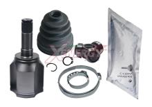 XENERGY XG011617