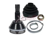 XENERGY XG011810