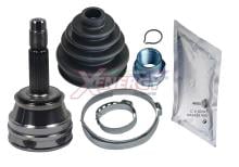XENERGY XG019817