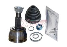 XENERGY XG023817
