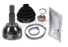 XENERGY XG098810