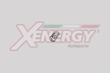 XENERGY XSA1931
