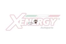 XENERGY XT6243