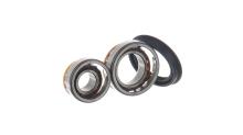 SKF VKBA 530