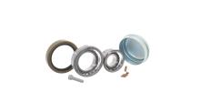 SKF VKBA 6645