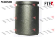 FTE automotive GmbH 9313217