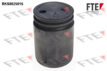 FTE automotive GmbH 9313222
