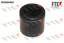 FTE automotive GmbH 9313469