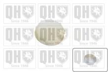 QUINTON HAZELL FC548