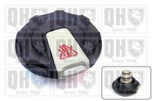 QUINTON HAZELL FC573