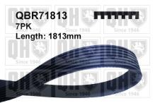 QUINTON HAZELL QBR71813