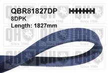 QUINTON HAZELL QBR81827DP