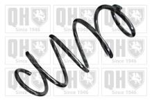 QUINTON HAZELL QCS8295