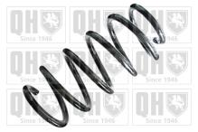 QUINTON HAZELL QCS8313