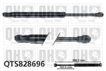 QUINTON HAZELL QTS828696