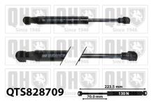 QUINTON HAZELL QTS828709