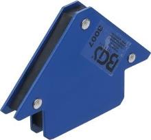 BGS 3007