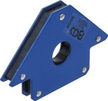 BGS 3008