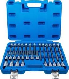BGS 5181