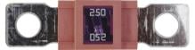RESTAGRAF 225092