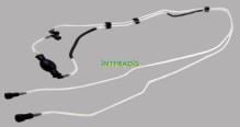 INTFRADIS 10217