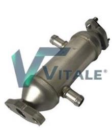 VITALE BM640175