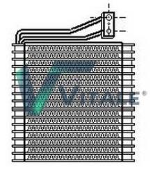 VITALE CH210501