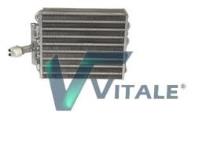 VITALE CT817083