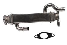 VITALE FI856913