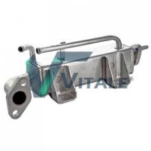 VITALE FO449127