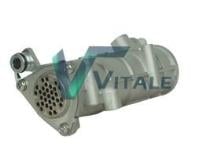VITALE IV136967