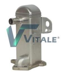 VITALE NI290152