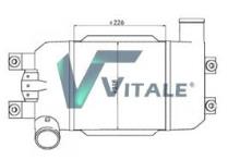 VITALE NI461400