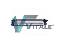 VITALE RE614882