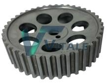 VITALE RE718509